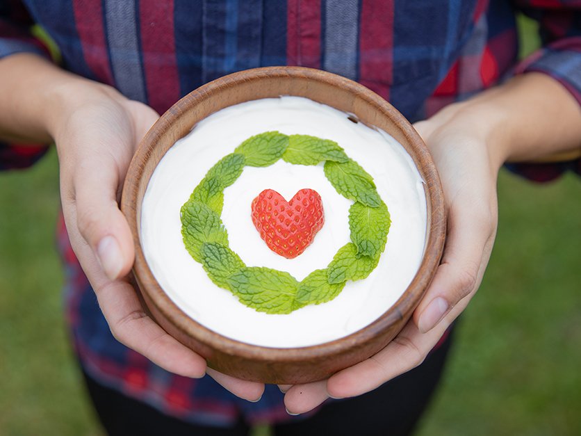 Contact Nancy's Yogurt