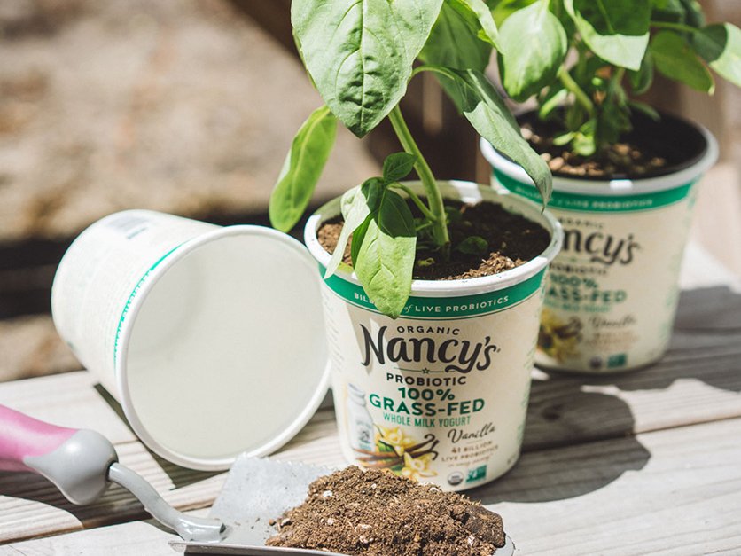 Contact Nancy's Yogurt