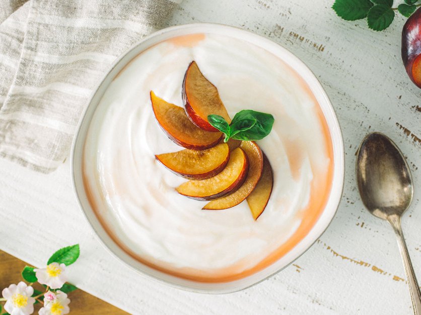 Contact Nancy's Yogurt