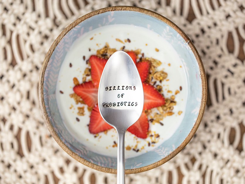 Contact Nancy's Yogurt