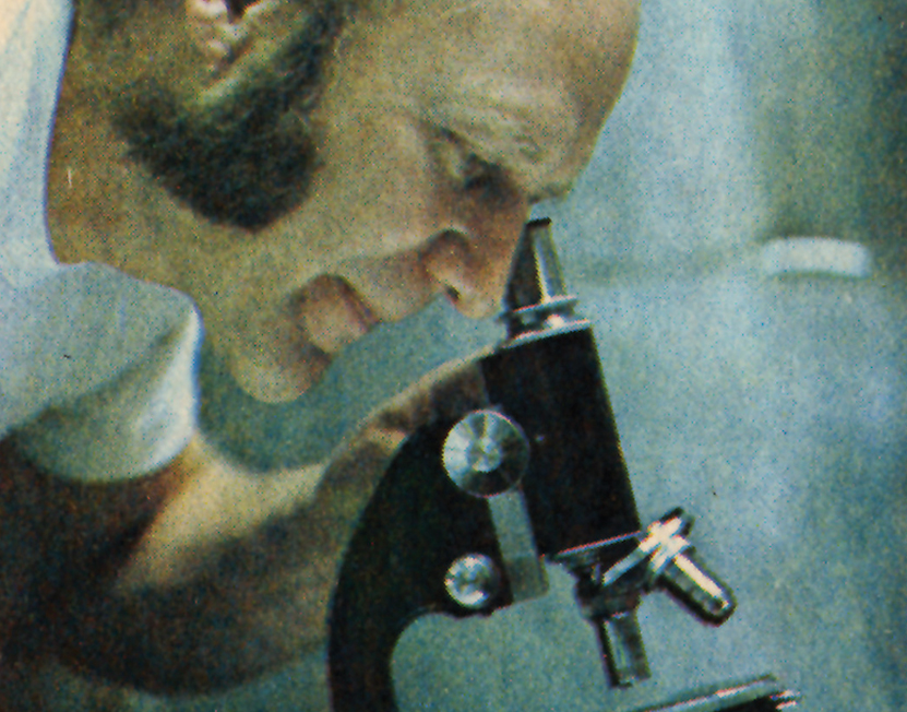 Contact Nancy's Yogurt